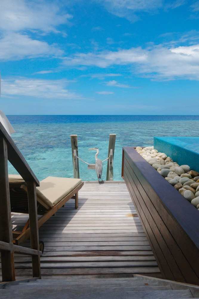 Huvafen Fushi Maldives -13