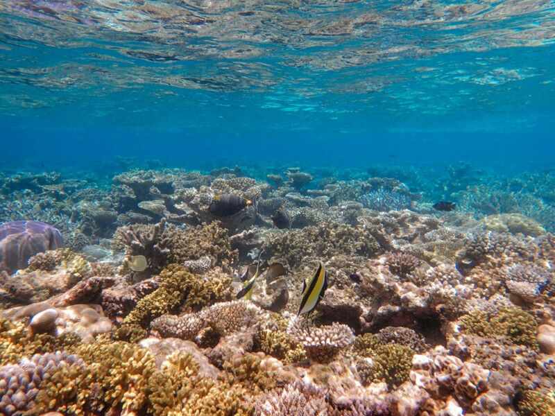 Huvafen Fushi Maldives -35