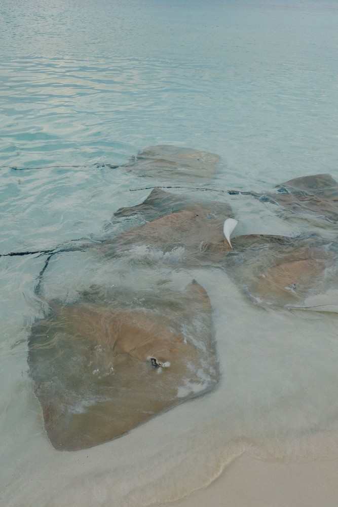 Huvafen Fushi Maldives -38