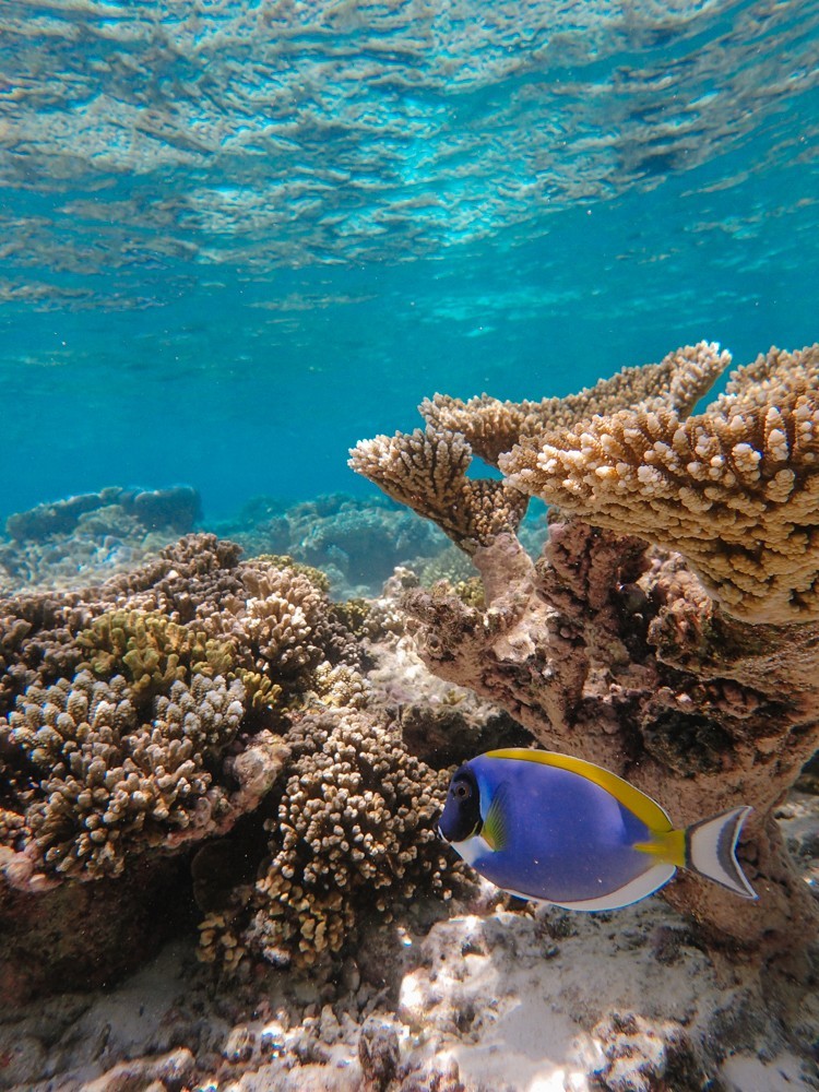 Huvafen Fushi Maldives -38
