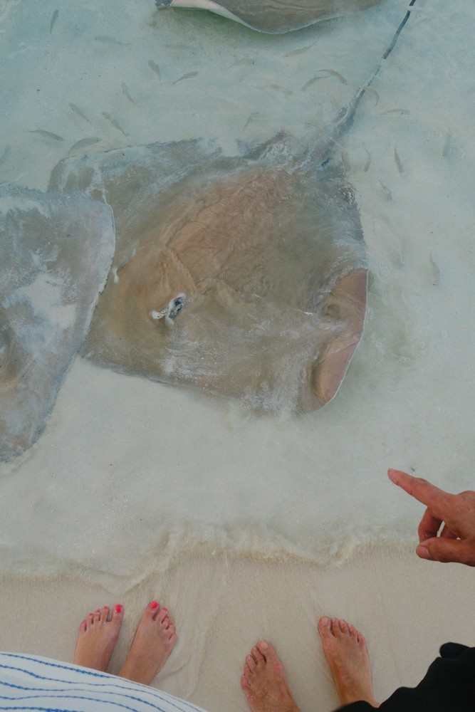 Huvafen Fushi Maldives -40