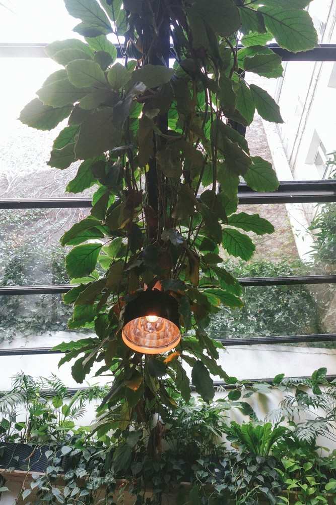 Paris Fashion Week Blog-36