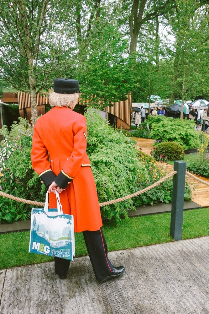 chelsea flower show 2015-1