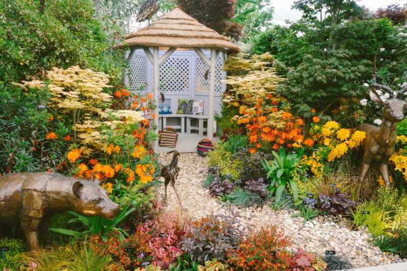 chelsea flower show 2015-22