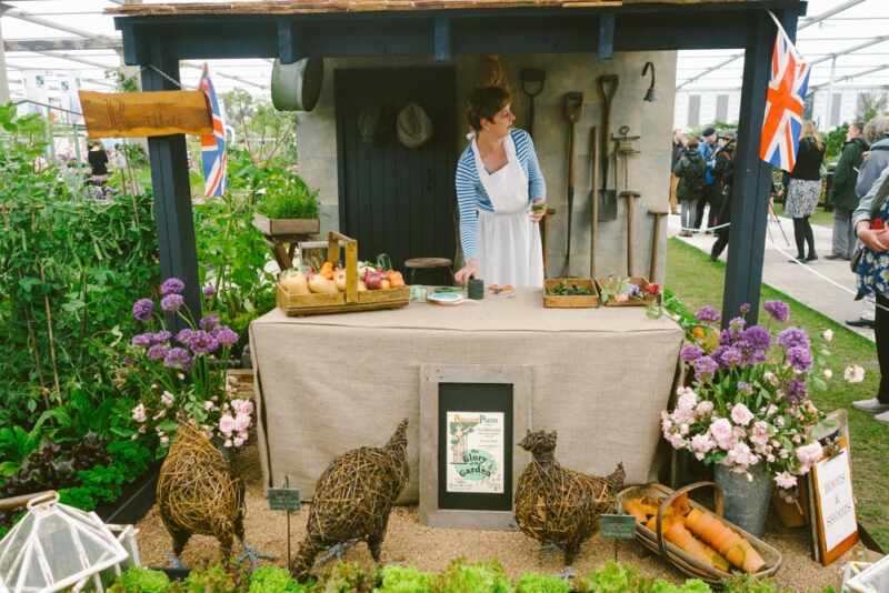 chelsea flower show 2015-23