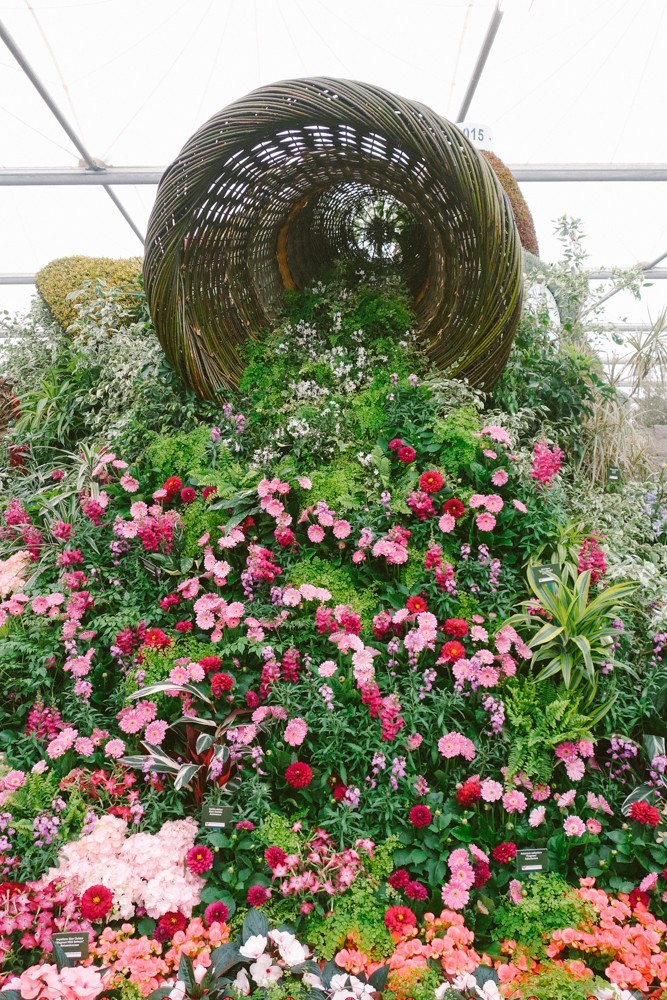 chelsea flower show 2015-30