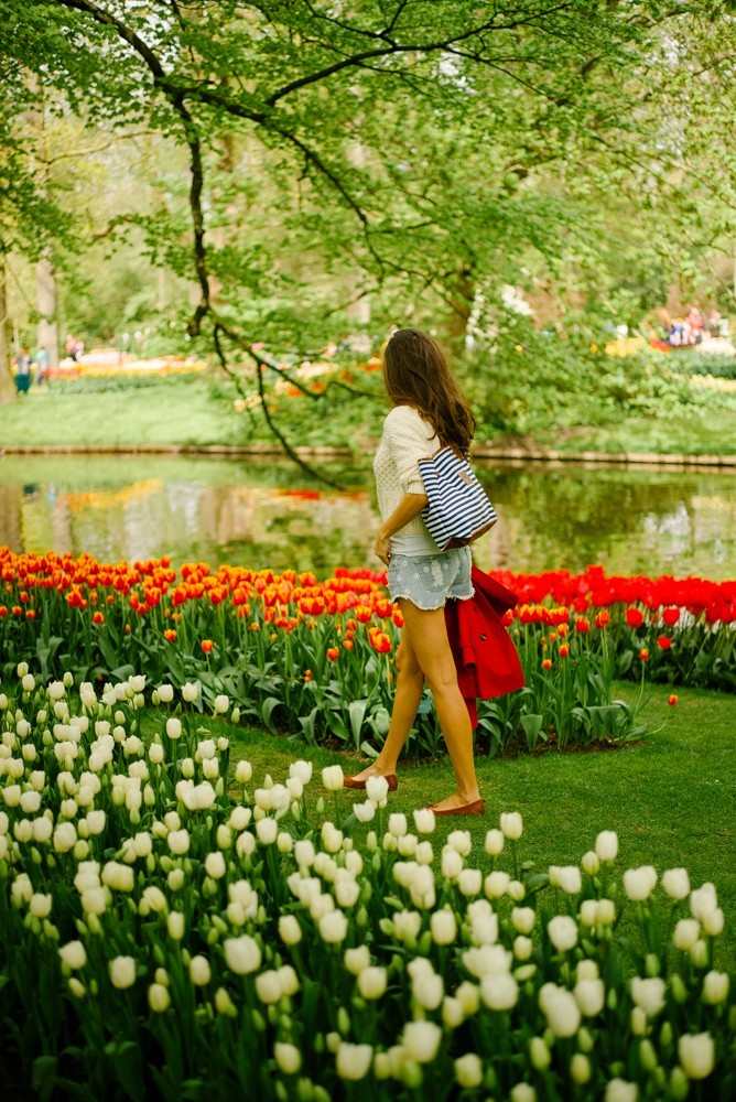 keukenhof tulip gardens-11