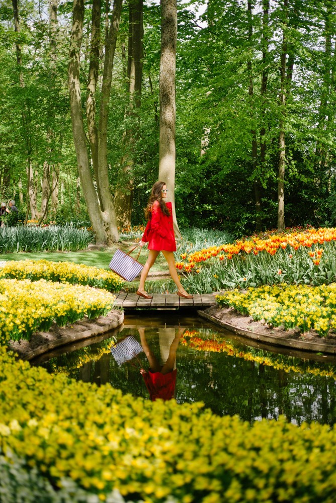 keukenhof tulip gardens-26