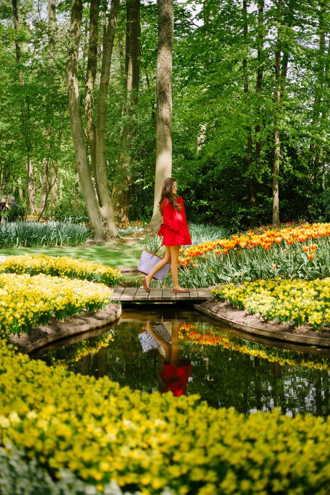 keukenhof tulip gardens-27