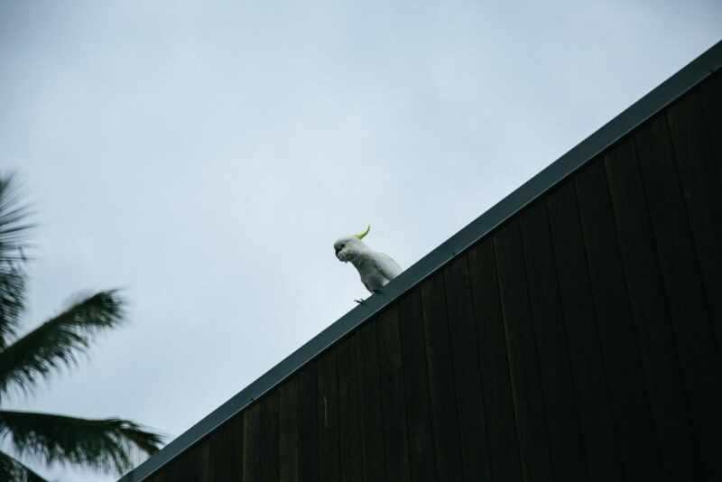 The Whitsundays One & Only Hotel -29