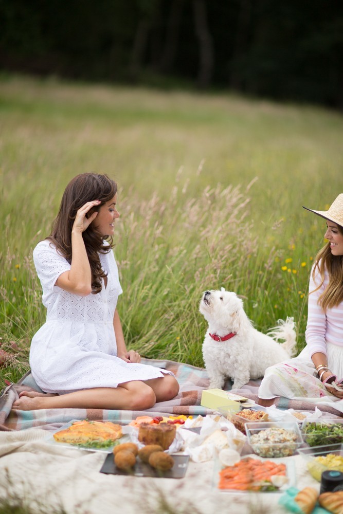 kenwood house picnic-17