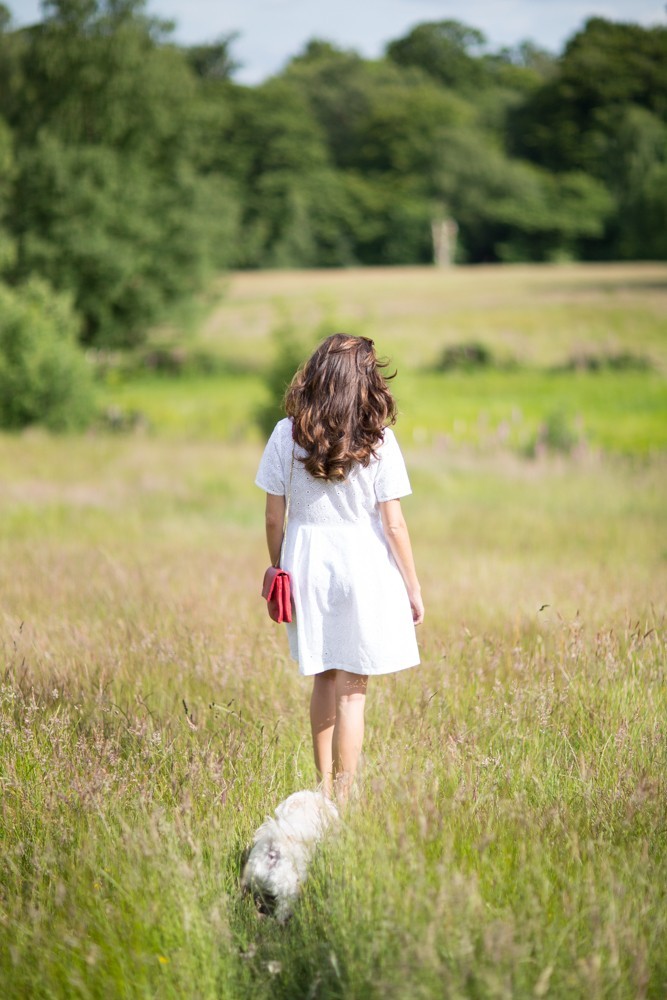 kenwood house picnic-38