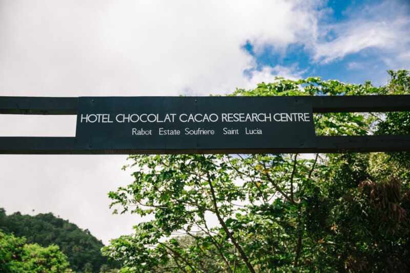 hotel chocolat saint lucia-29