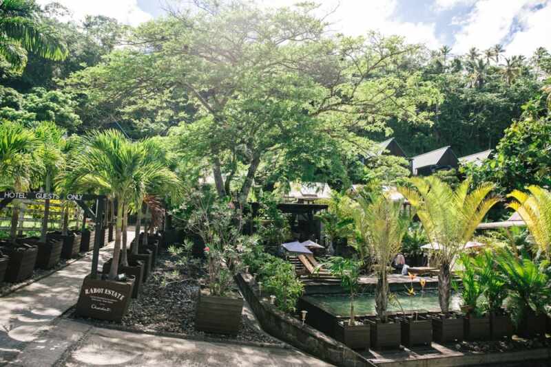 sugar beach saint lucia-1