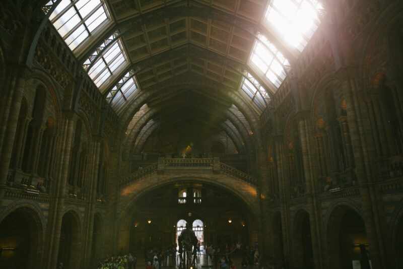 Natural History Museum London-35