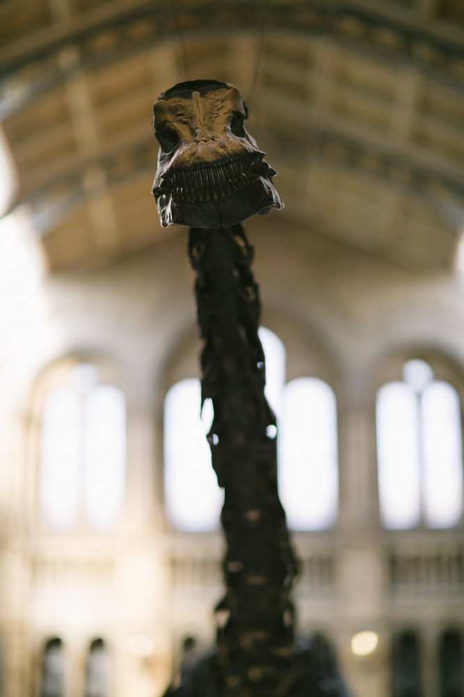 Natural History Museum London-7