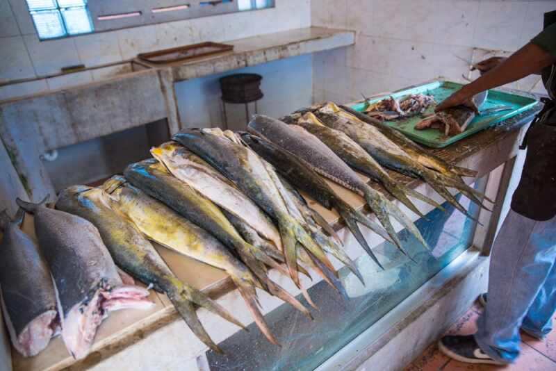 Saint Lucia Market-18