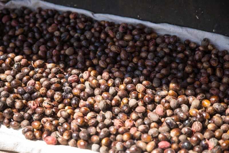 Saint Lucia Market-27