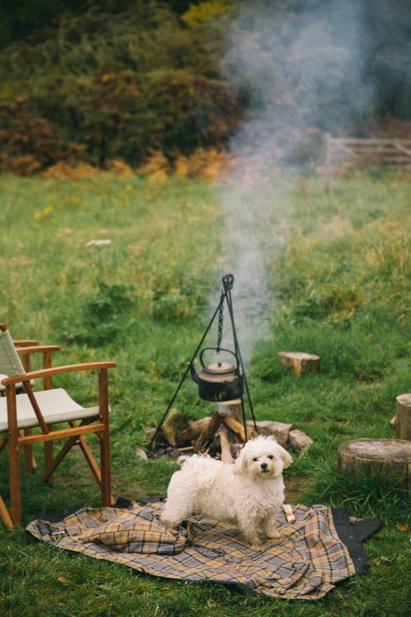 Shephard Hut Camping-18