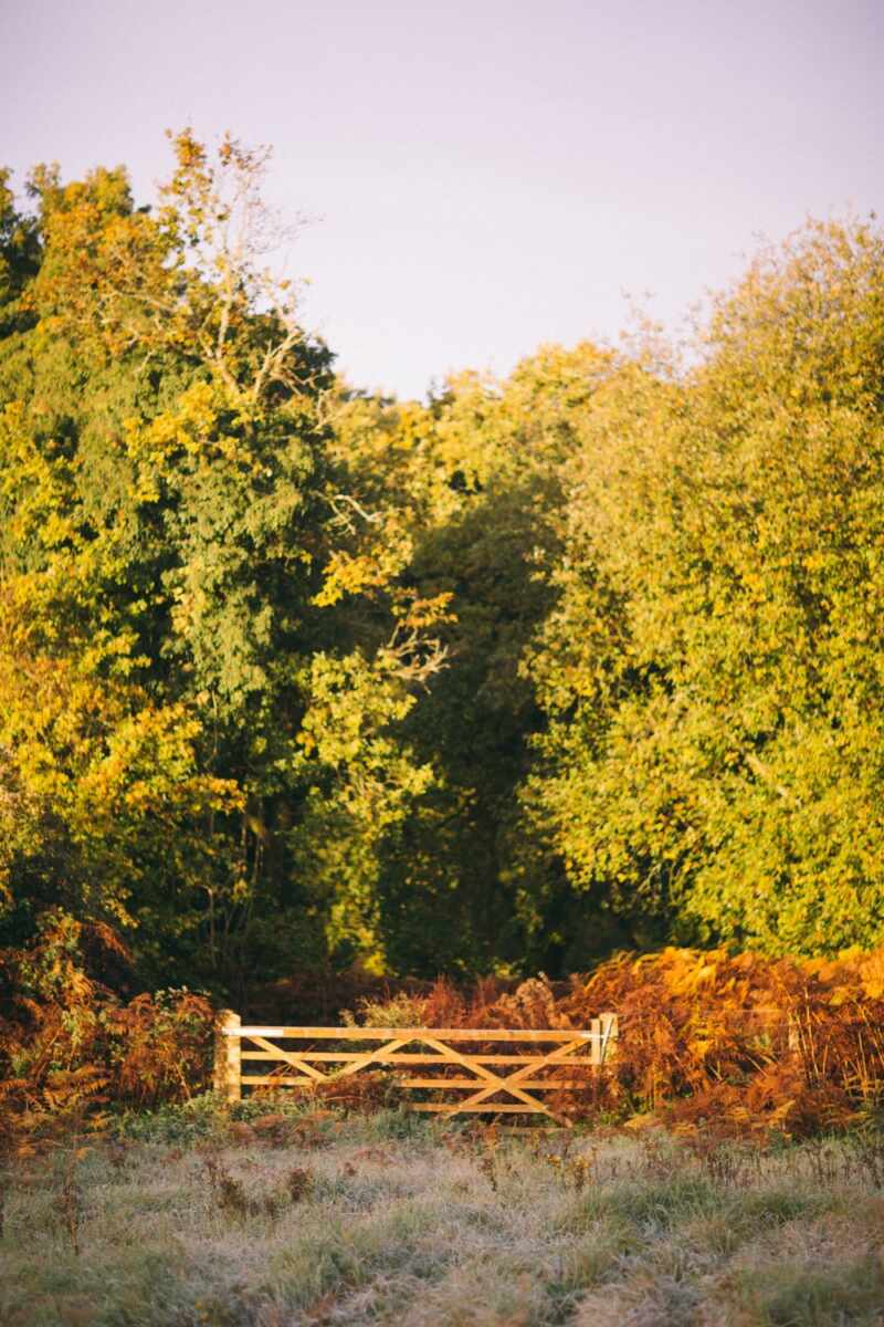 Autumn in England