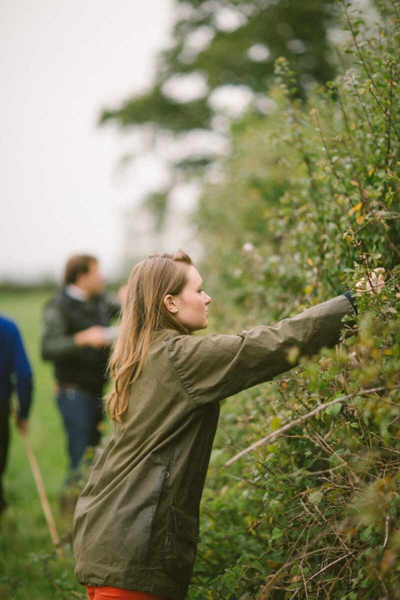 Sloe gin recipe-17