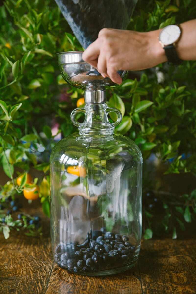 Sloe gin recipe-59