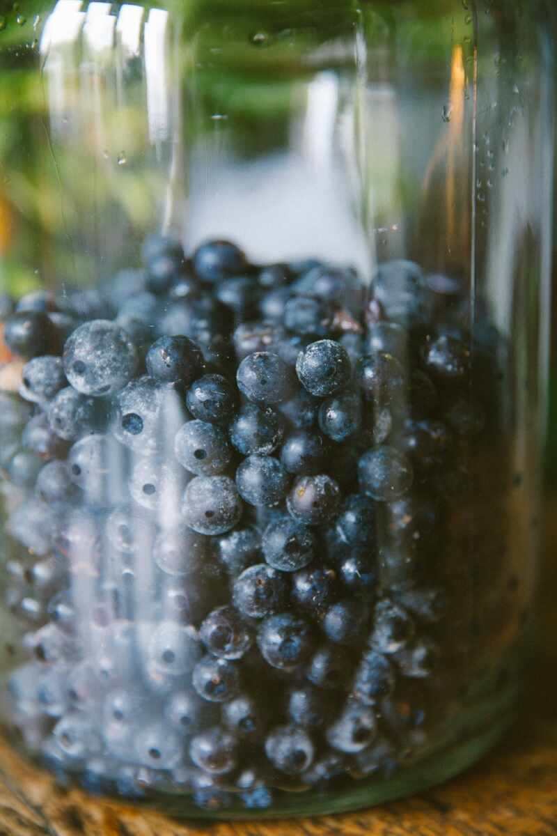 Sloe gin recipe-60