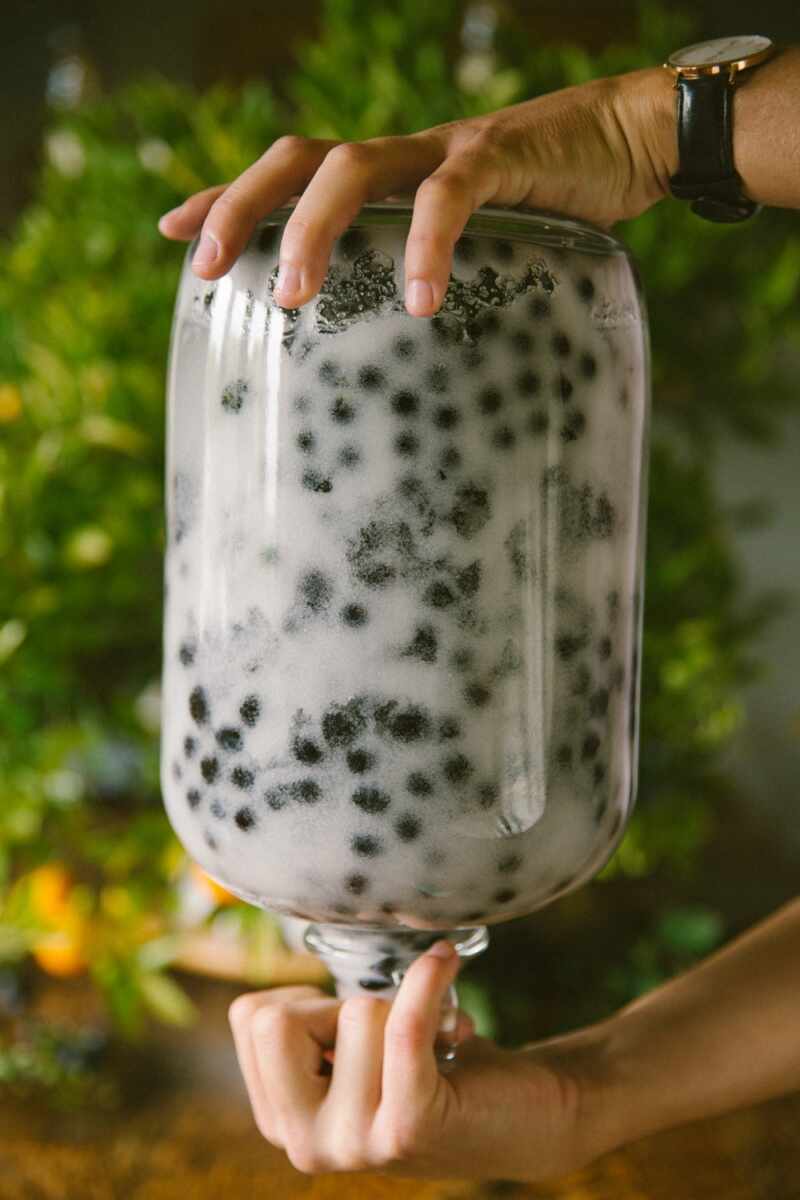 Sloe gin recipe-66