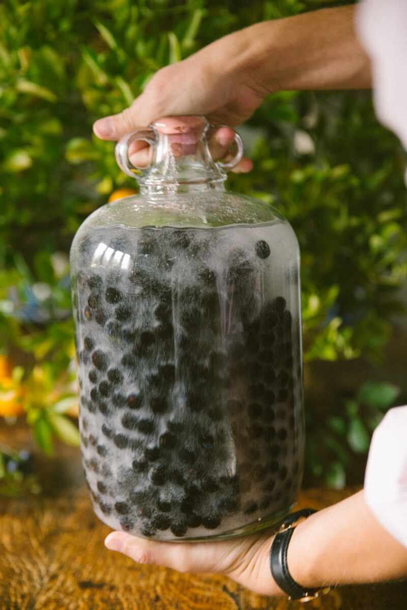 Sloe gin recipe-68