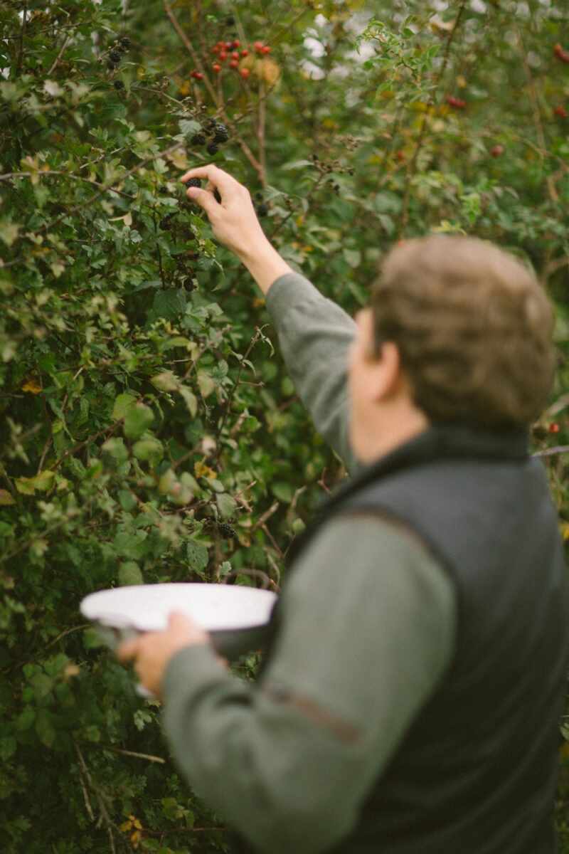 Sloe gin recipe-8