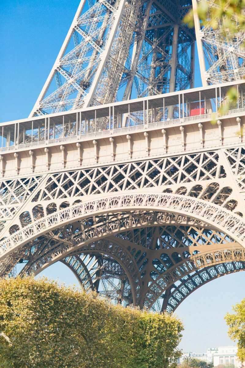 eiffel tower picnic-23