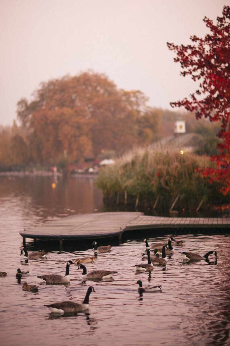 Autumn in London-36