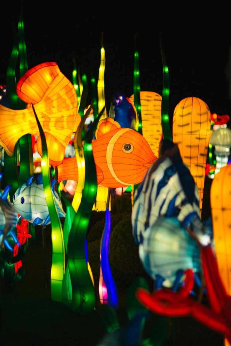 Longleat Festival of Light -43