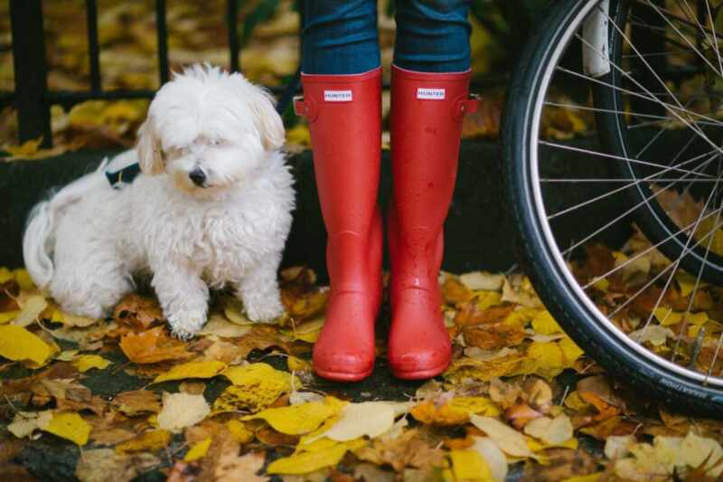 Red boots and fallen leaves