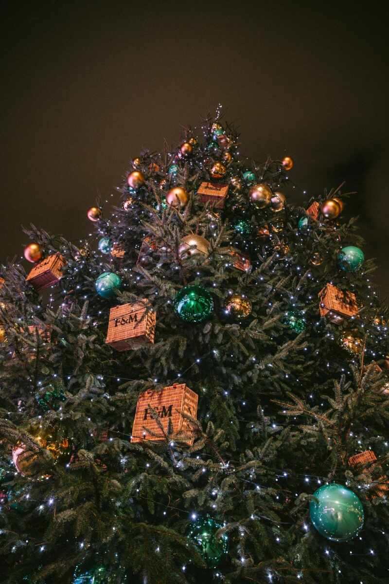 Somerset House christmas tree