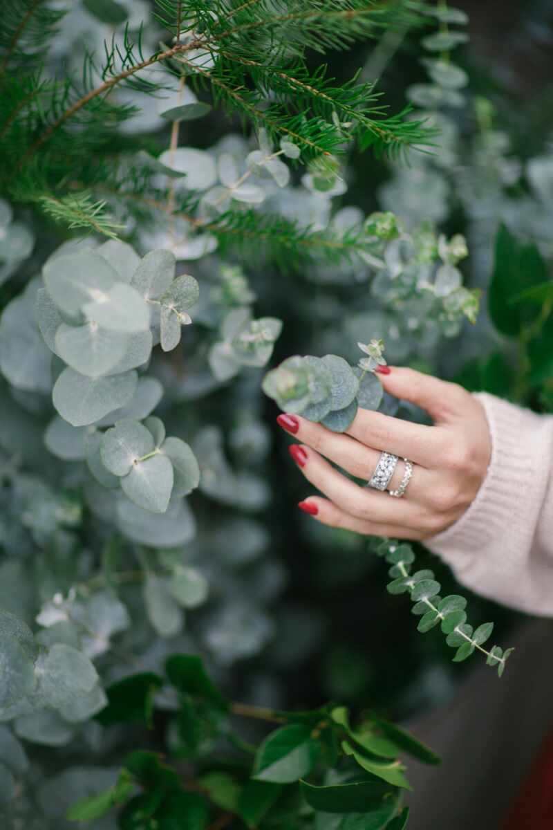 Eucalyptus and Silver Leaves Ring