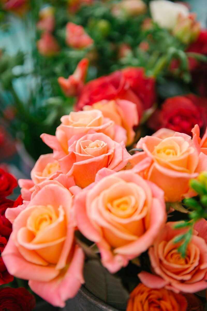 Pink and Orange Roses in Notting Hill