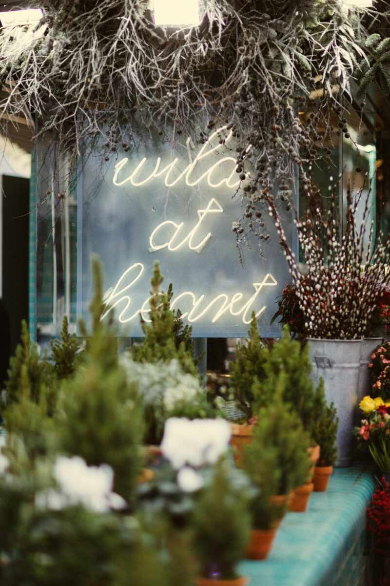 Festive Florist Wild At Heart Notting Hill