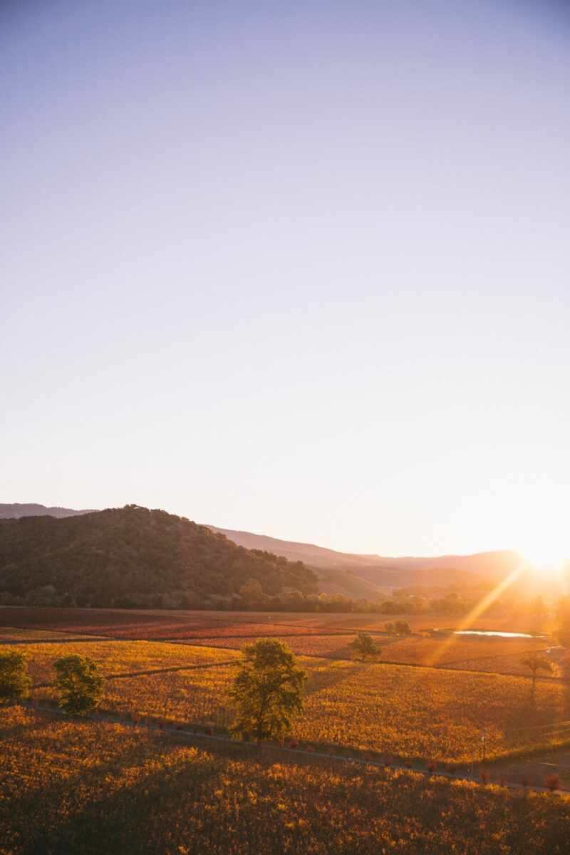Hot Air Balloon Napa-6