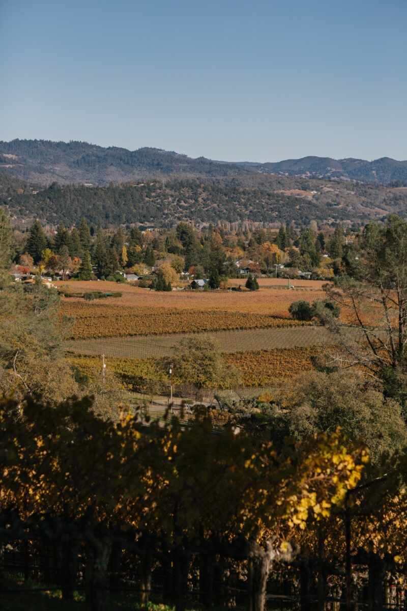 Napa Valley -13