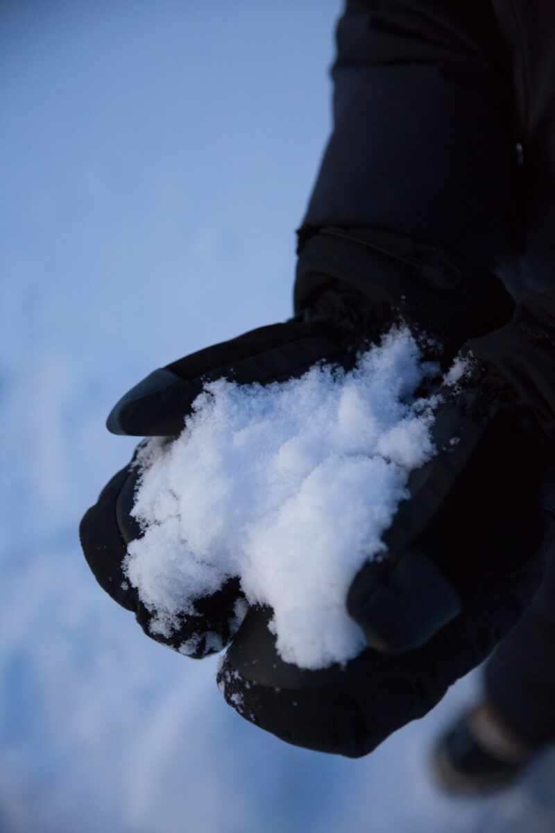 Husky Sledding Lapland-15