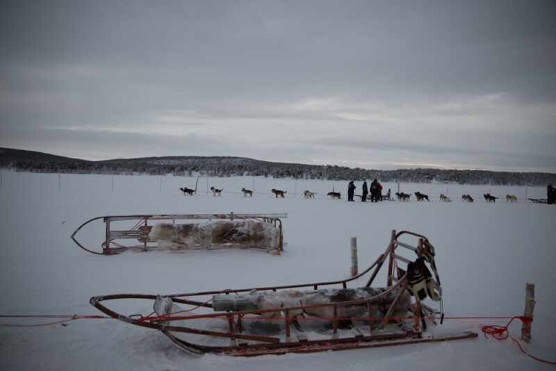 Husky Sledding Lapland-18