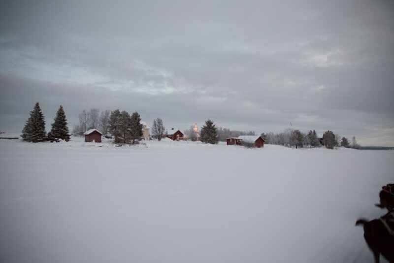 Husky Sledding Lapland-22