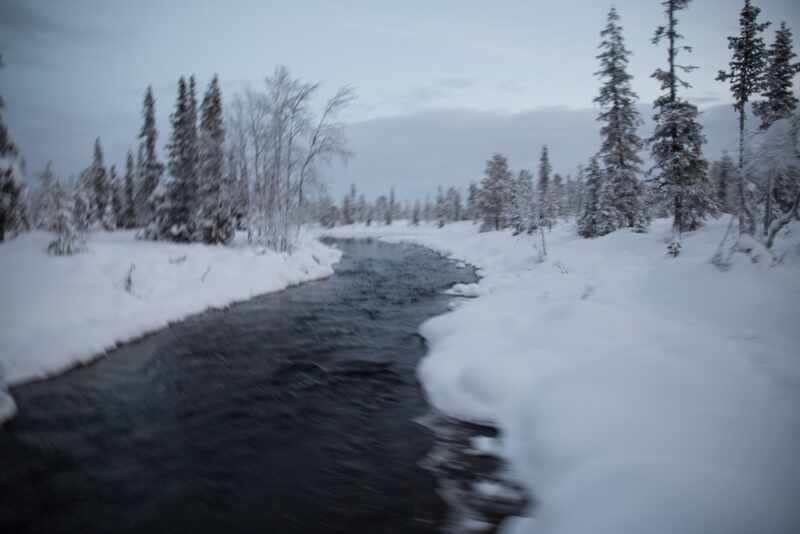 Husky Sledding Lapland-30