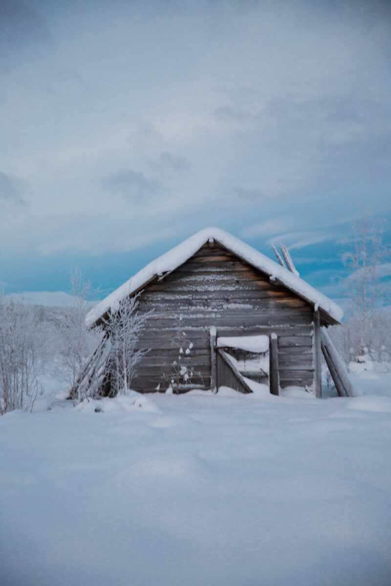 Husky Sledding Lapland-32