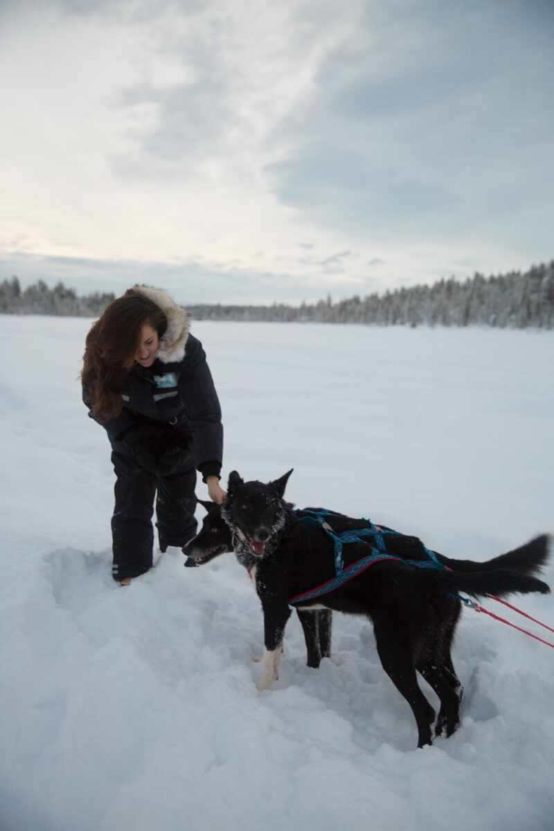 Husky Sledding Lapland-39