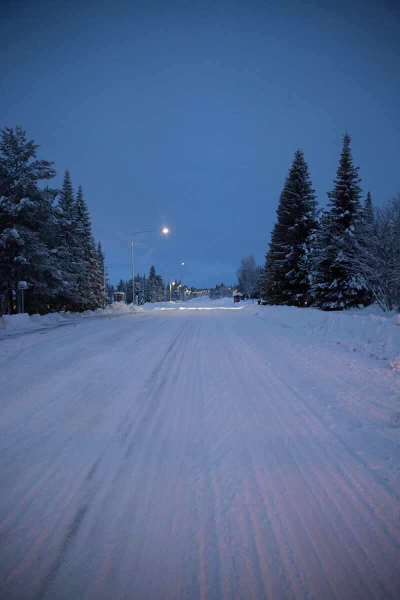 Husky Sledding Lapland-4