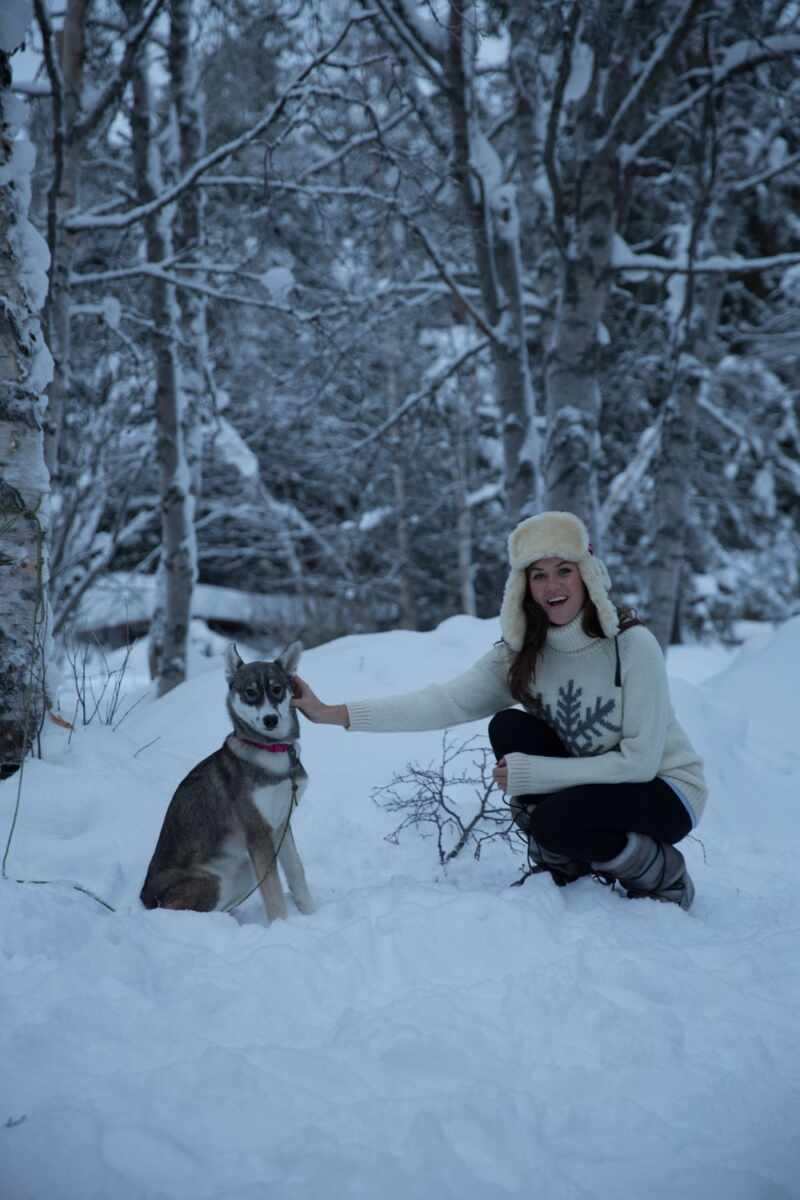 Husky Sledding Lapland-70