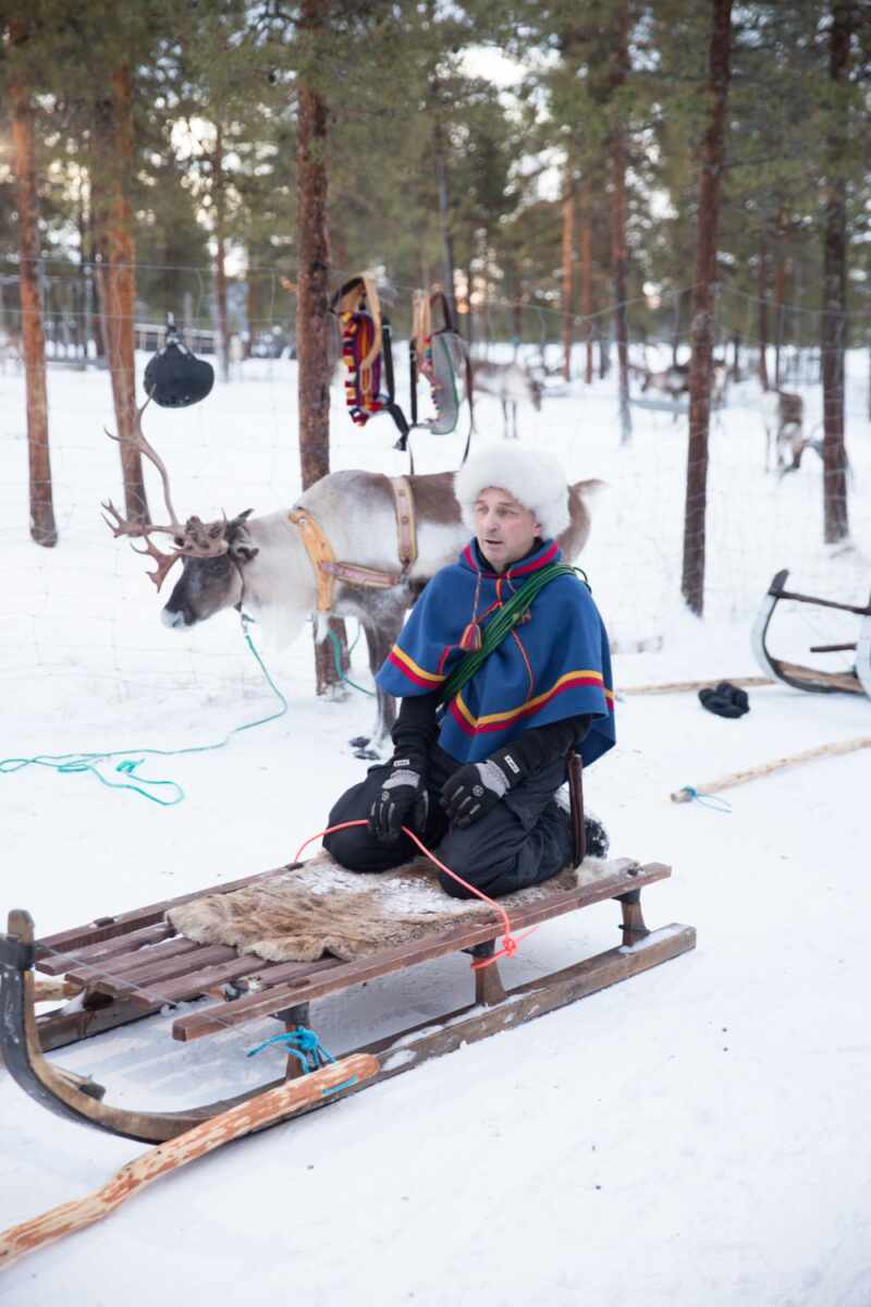 Reindeer and Saunas in Sweden -12