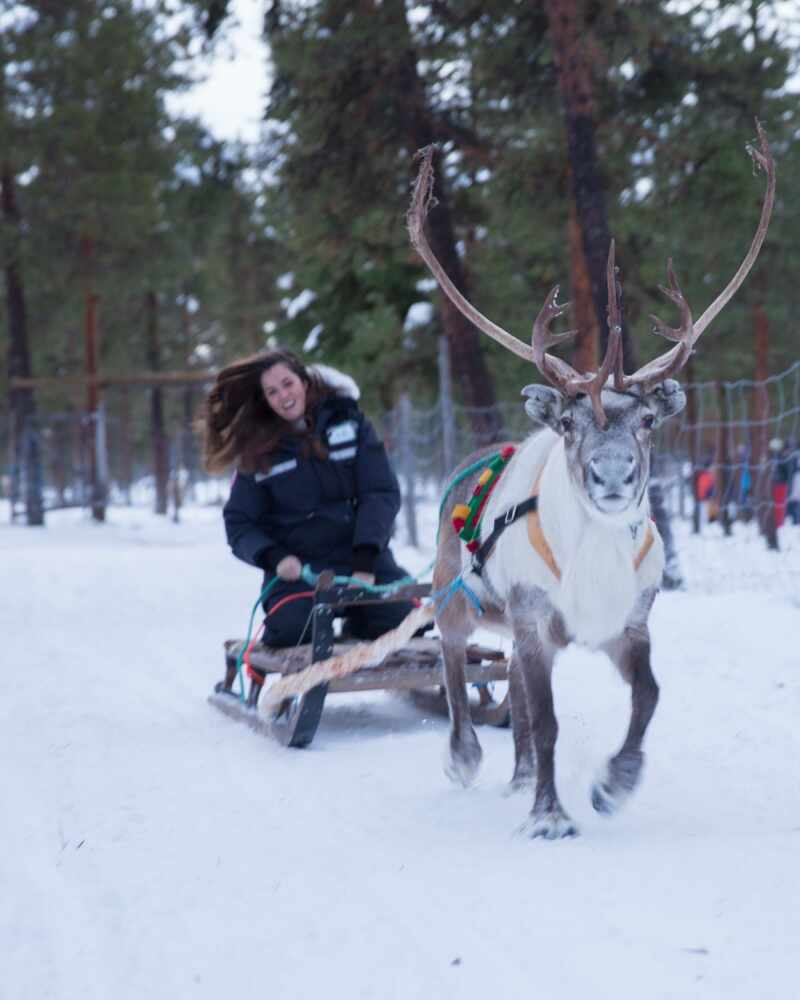 Reindeer and Saunas in Sweden -13